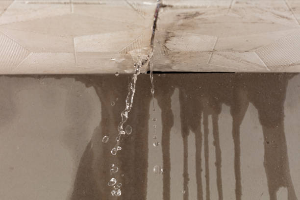 Professional Burst Pipe Cleanup technician working in Longs, SC